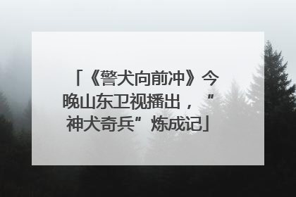 《警犬向前冲》今晚山东卫视播出，“神犬奇兵”炼成记