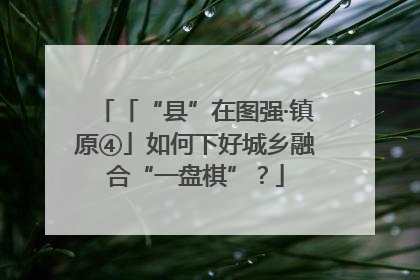 「“县”在图强·镇原④」如何下好城乡融合“一盘棋”？