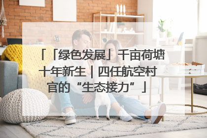 「绿色发展」千亩荷塘 十年新生｜四任航空村官的“生态接力”