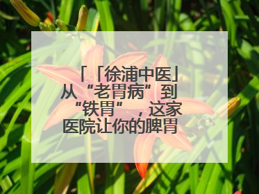 「徐浦中医」从“老胃病”到“铁胃”，这家医院让你的脾胃“回春”有方