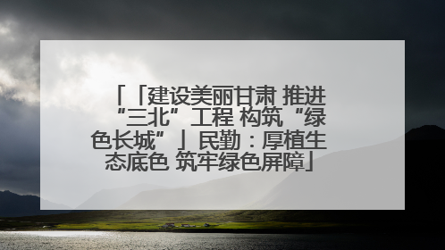 「建设美丽甘肃 推进“三北”工程 构筑“绿色长城”」民勤：厚植生态底色 筑牢绿色屏障