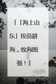 「海上山东」投苗耕海，牧海图强！
