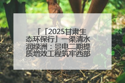 「2025甘肃生态环保行」一渠清水润绿洲：景电二期提质增效工程筑牢西部生态安全屏障