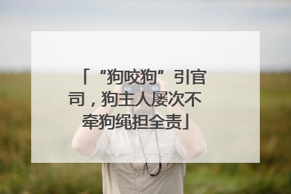 “狗咬狗”引官司，狗主人屡次不牵狗绳担全责