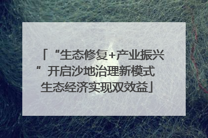 “生态修复+产业振兴”开启沙地治理新模式 生态经济实现双效益