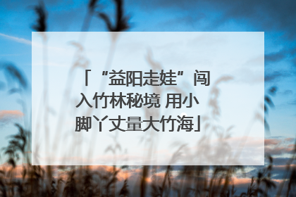“益阳走娃”闯入竹林秘境 用小脚丫丈量大竹海