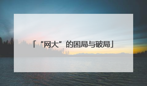 “网大”的困局与破局