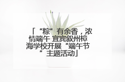 “粽”有余香，浓情端午 宜宾叙州樟海学校开展“端午节”主题活动