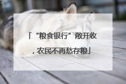 “粮食银行”敞开收，农民不再愁存粮