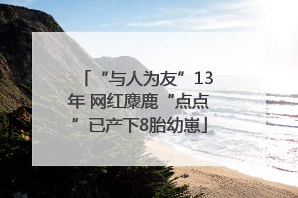 “与人为友”13年 网红麋鹿“点点”已产下8胎幼崽