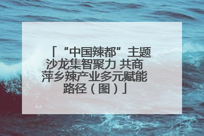 “中国辣都”主题沙龙集智聚力 共商萍乡辣产业多元赋能路径（图）
