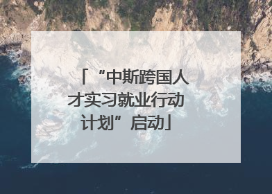 “中斯跨国人才实习就业行动计划”启动