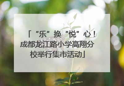 “乐”换“悦”心！成都龙江路小学高翔分校举行集市活动