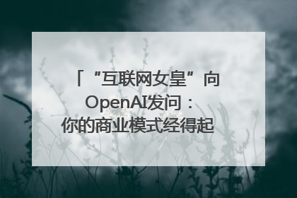 “互联网女皇”向OpenAI发问：你的商业模式经得起价格战考验么？