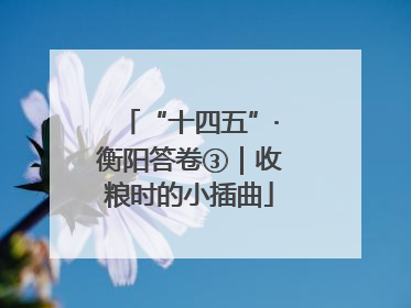 “十四五”·衡阳答卷③｜收粮时的小插曲