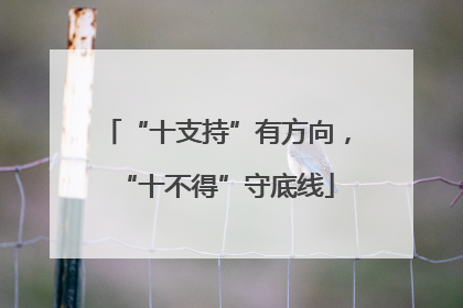 “十支持”有方向，“十不得”守底线