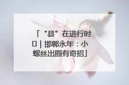 “县”在进行时⑬｜邯郸永年：小螺丝出圈有奇招