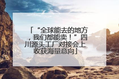 “全球能去的地方，我们都能卖！”四川源头工厂对接会上收获海量意向