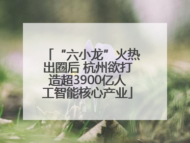 “六小龙”火热出圈后 杭州欲打造超3900亿人工智能核心产业