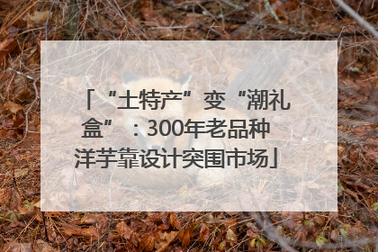 “土特产”变“潮礼盒”：300年老品种洋芋靠设计突围市场