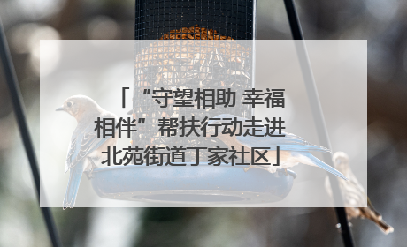 “守望相助 幸福相伴”帮扶行动走进北苑街道丁家社区