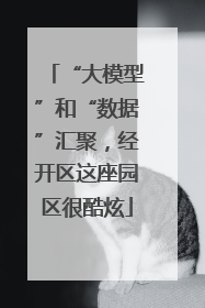 “大模型”和“数据”汇聚，经开区这座园区很酷炫