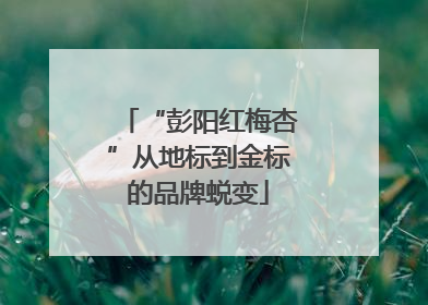 “彭阳红梅杏”从地标到金标的品牌蜕变