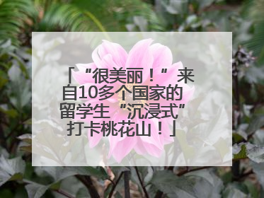 “很美丽！”来自10多个国家的留学生“沉浸式”打卡桃花山！