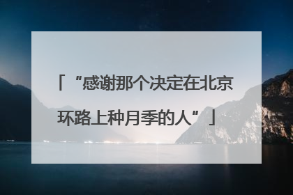 “感谢那个决定在北京环路上种月季的人”