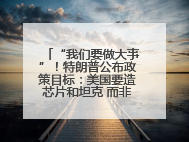 “我们要做大事”！特朗普公布政策目标：美国要造芯片和坦克 而非T恤袜子