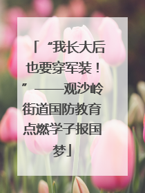 “我长大后也要穿军装！”——观沙岭街道国防教育点燃学子报国梦