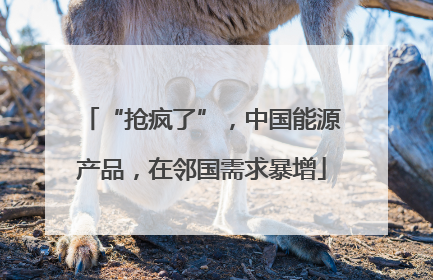 “抢疯了”，中国能源产品，在邻国需求暴增