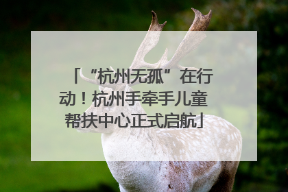 “杭州无孤”在行动！杭州手牵手儿童帮扶中心正式启航