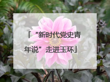 “新时代党史青年说”走进玉环