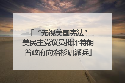 “无视美国宪法” 美民主党议员批评特朗普政府向洛杉矶派兵