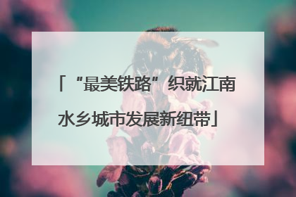 “最美铁路”织就江南水乡城市发展新纽带