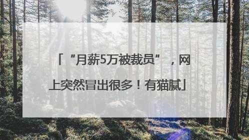 “月薪5万被裁员”，网上突然冒出很多！有猫腻