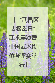 “武昌区太极拳日”武术展演暨中国武术段位考评赛举行