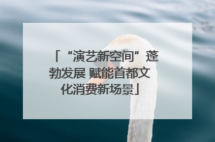 “演艺新空间”蓬勃发展 赋能首都文化消费新场景