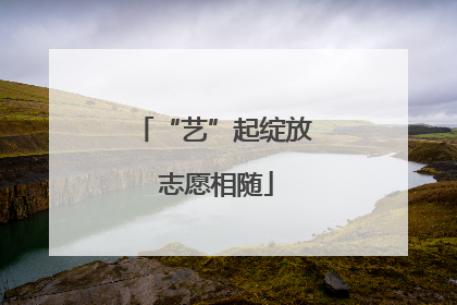 “艺”起绽放 志愿相随