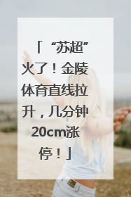 “苏超”火了！金陵体育直线拉升，几分钟20cm涨停！