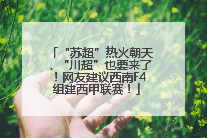 “苏超”热火朝天，“川超”也要来了！网友建议西南F4组建西甲联赛！