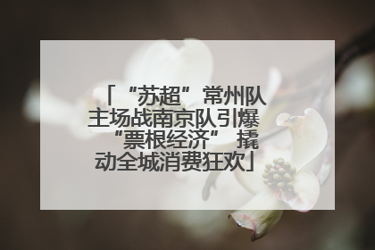 “苏超”常州队主场战南京队引爆“票根经济” 撬动全城消费狂欢