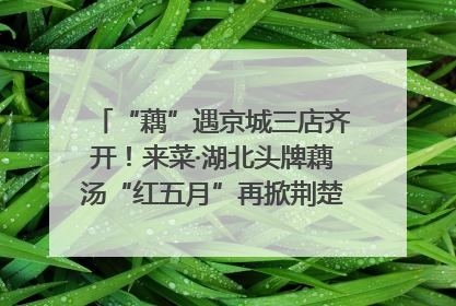 “藕”遇京城三店齐开！来菜·湖北头牌藕汤“红五月”再掀荆楚美食文化风暴