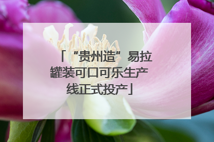 “贵州造”易拉罐装可口可乐生产线正式投产