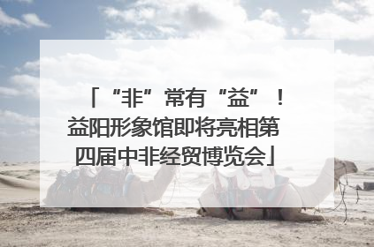 “非”常有“益”！益阳形象馆即将亮相第四届中非经贸博览会