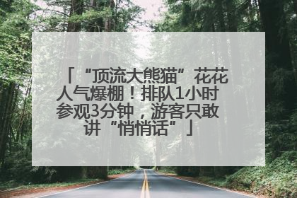 “顶流大熊猫”花花人气爆棚！排队1小时参观3分钟，游客只敢讲“悄悄话”