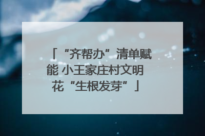 “齐帮办”清单赋能 小王家庄村文明花“生根发芽”