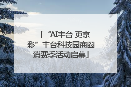 “AI丰台 更京彩”丰台科技园商圈消费季活动启幕