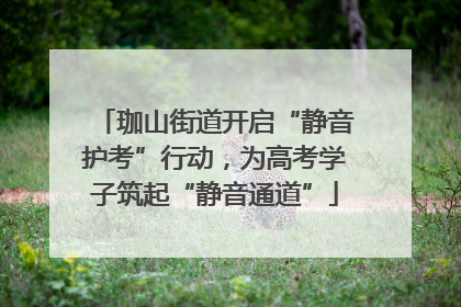 珈山街道开启“静音护考”行动，为高考学子筑起“静音通道”